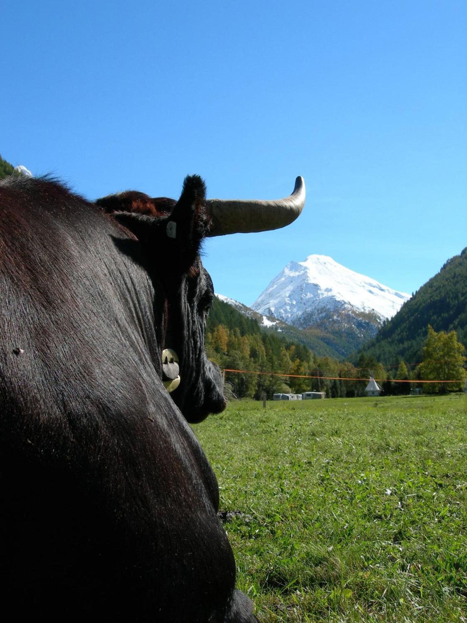 Hotel Adler Saas-Grund Bagian luar foto