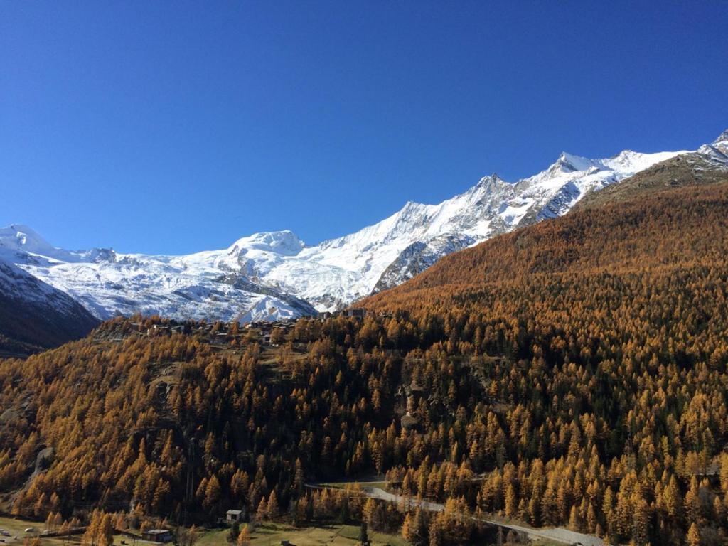 Hotel Adler Saas-Grund Bagian luar foto